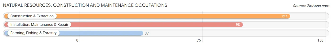 Natural Resources, Construction and Maintenance Occupations in Zip Code 48658