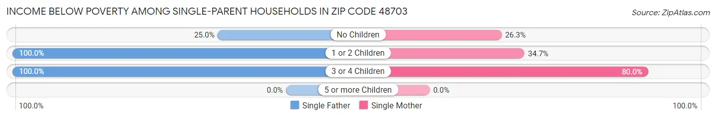 Income Below Poverty Among Single-Parent Households in Zip Code 48703