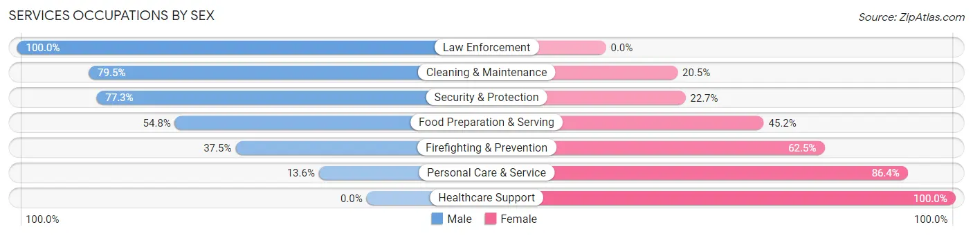 Services Occupations by Sex in Zip Code 48703