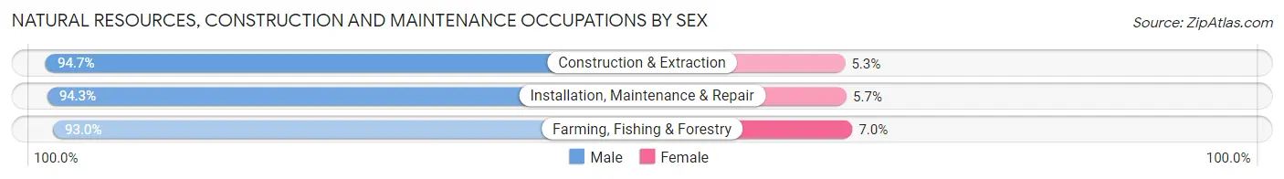 Natural Resources, Construction and Maintenance Occupations by Sex in Zip Code 48708