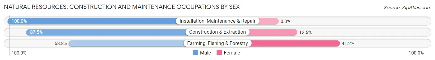 Natural Resources, Construction and Maintenance Occupations by Sex in Zip Code 48720