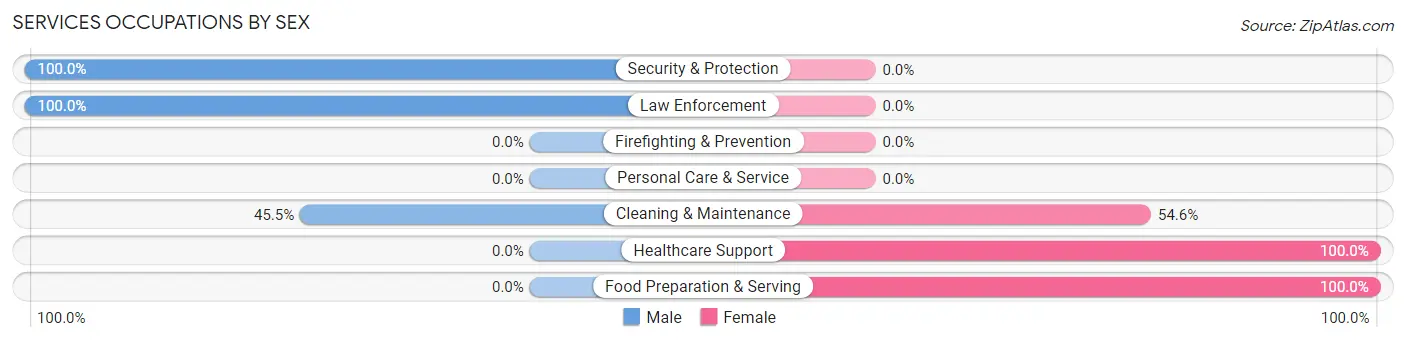 Services Occupations by Sex in Zip Code 48721