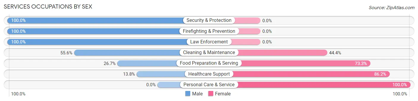 Services Occupations by Sex in Zip Code 48727