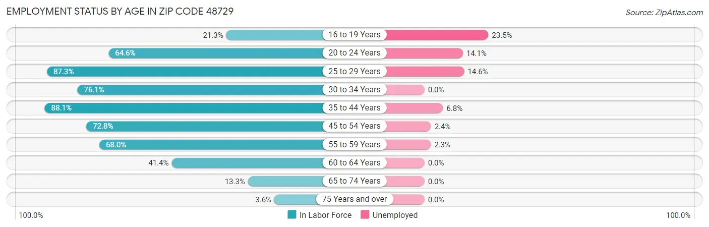 Employment Status by Age in Zip Code 48729