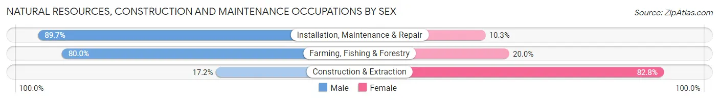 Natural Resources, Construction and Maintenance Occupations by Sex in Zip Code 48731
