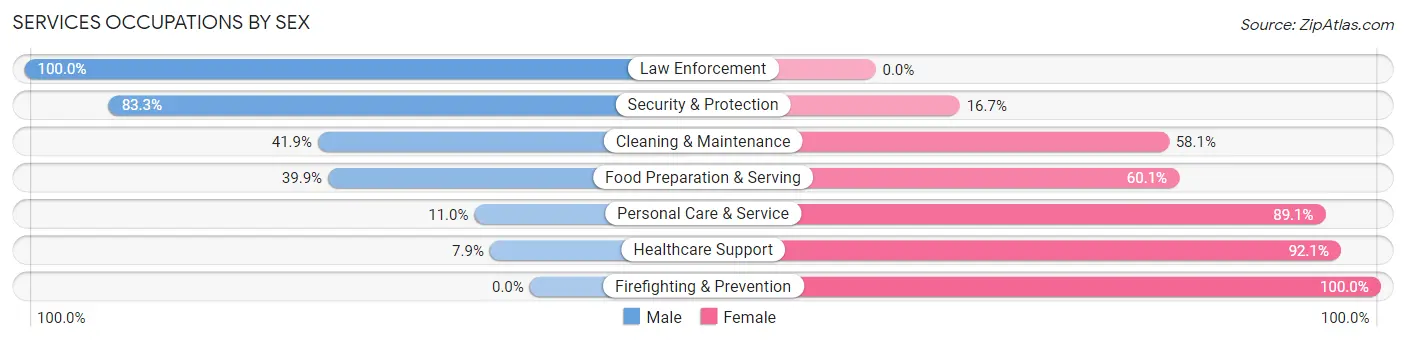 Services Occupations by Sex in Zip Code 48732