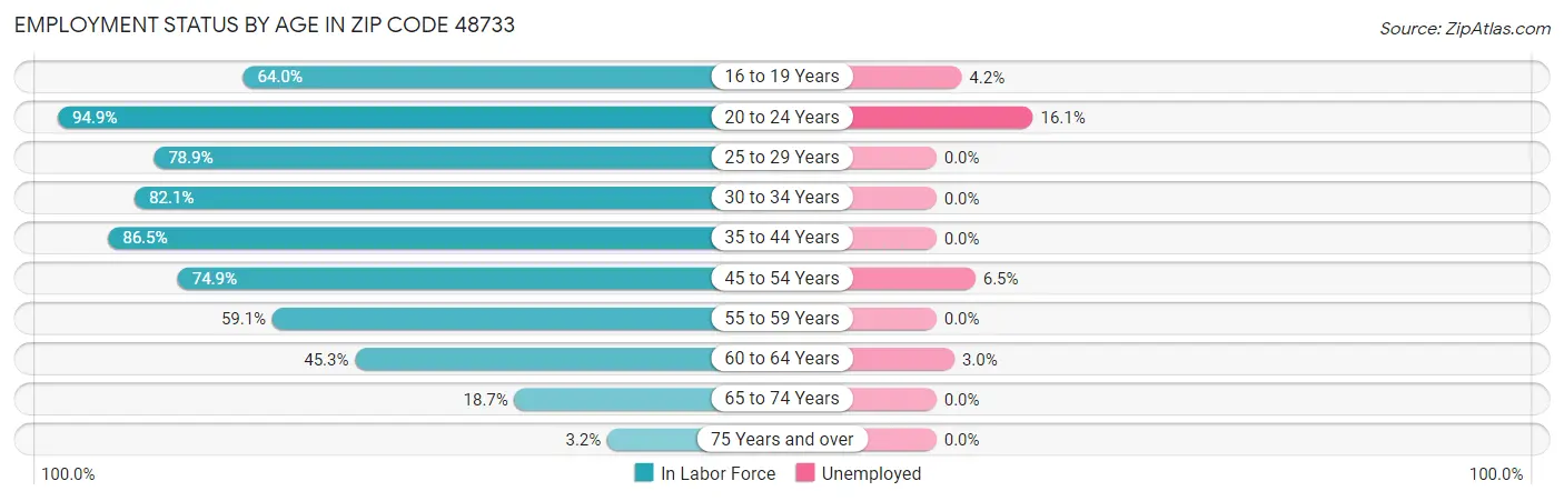 Employment Status by Age in Zip Code 48733