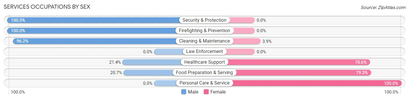 Services Occupations by Sex in Zip Code 48735