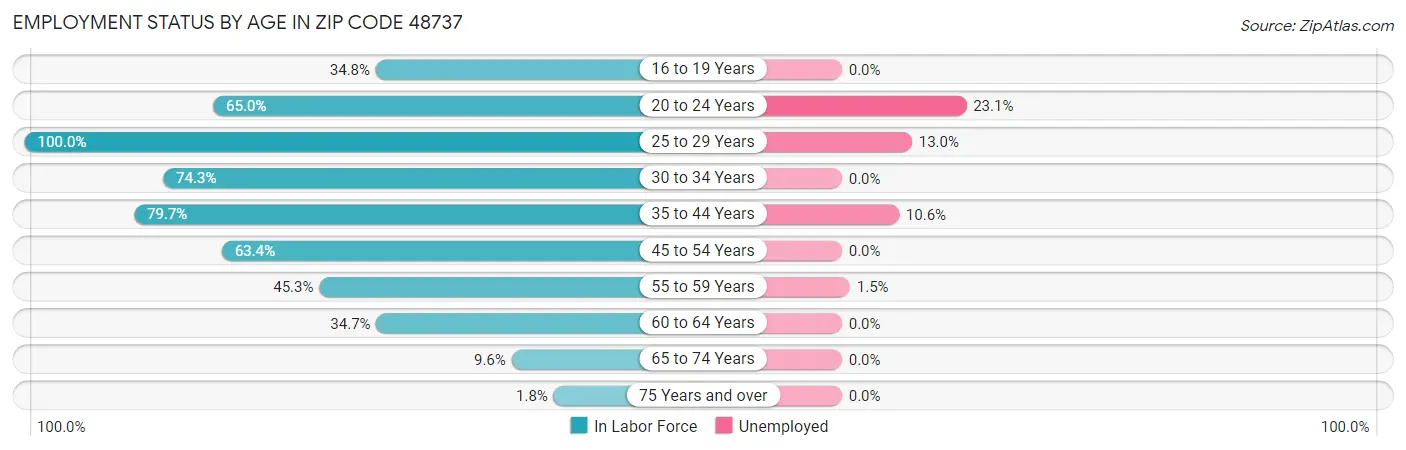 Employment Status by Age in Zip Code 48737