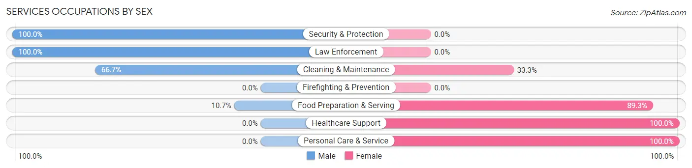 Services Occupations by Sex in Zip Code 48737