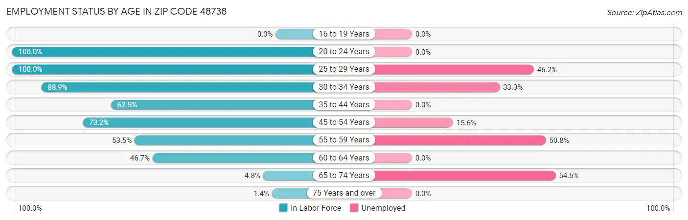 Employment Status by Age in Zip Code 48738