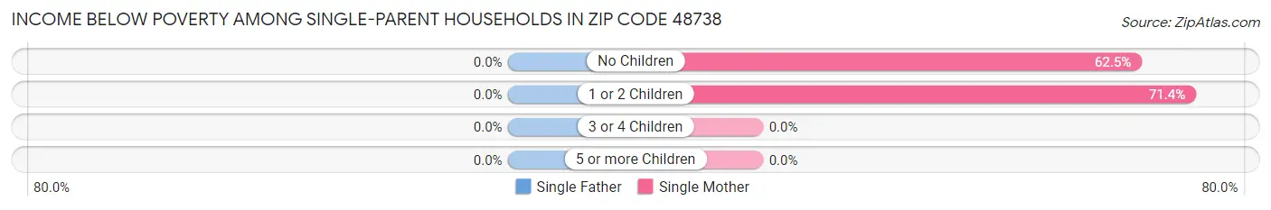 Income Below Poverty Among Single-Parent Households in Zip Code 48738