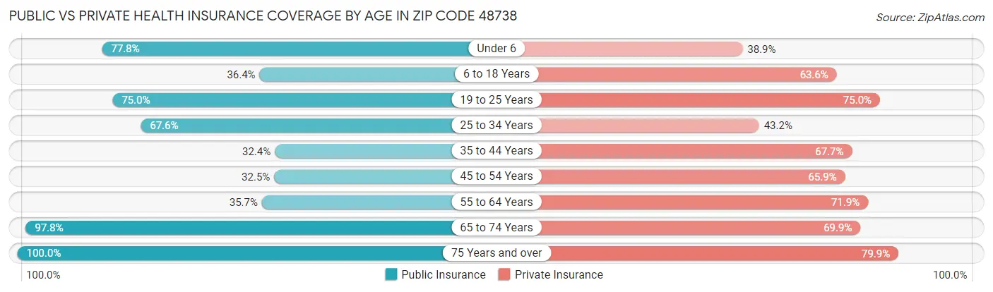 Public vs Private Health Insurance Coverage by Age in Zip Code 48738