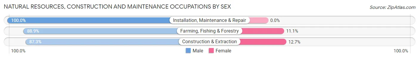 Natural Resources, Construction and Maintenance Occupations by Sex in Zip Code 48741