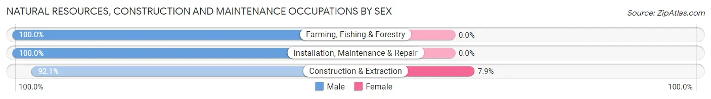 Natural Resources, Construction and Maintenance Occupations by Sex in Zip Code 48742