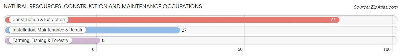 Natural Resources, Construction and Maintenance Occupations in Zip Code 48748