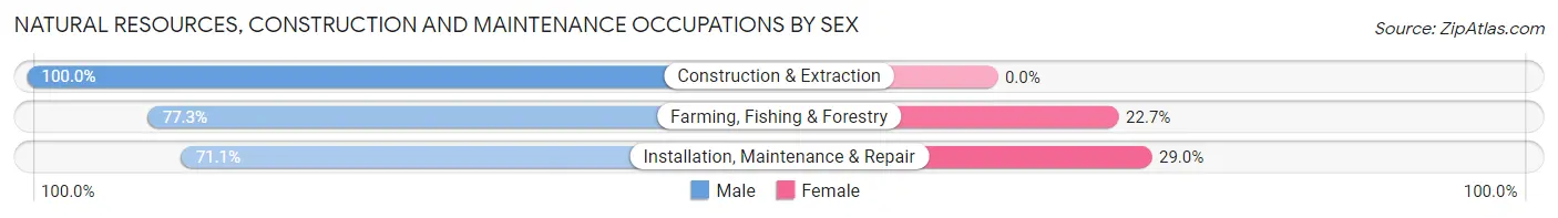 Natural Resources, Construction and Maintenance Occupations by Sex in Zip Code 48755