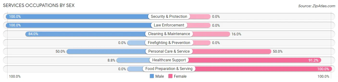 Services Occupations by Sex in Zip Code 48755