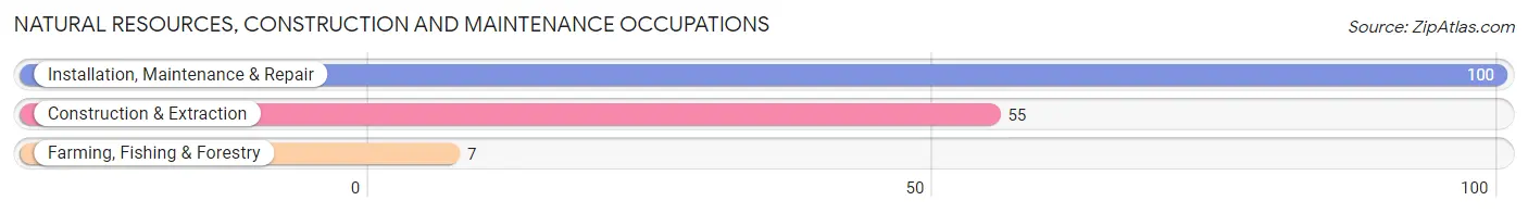 Natural Resources, Construction and Maintenance Occupations in Zip Code 48756