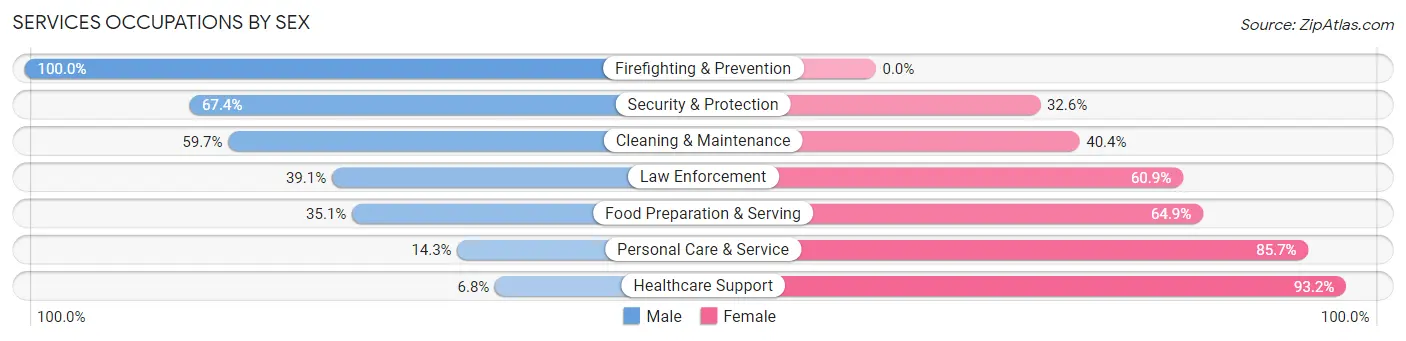 Services Occupations by Sex in Zip Code 48763