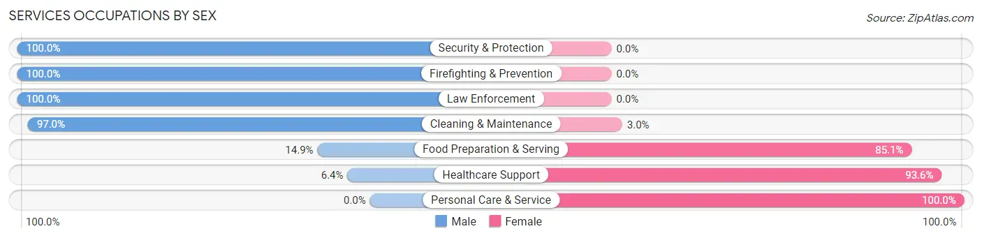 Services Occupations by Sex in Zip Code 48767