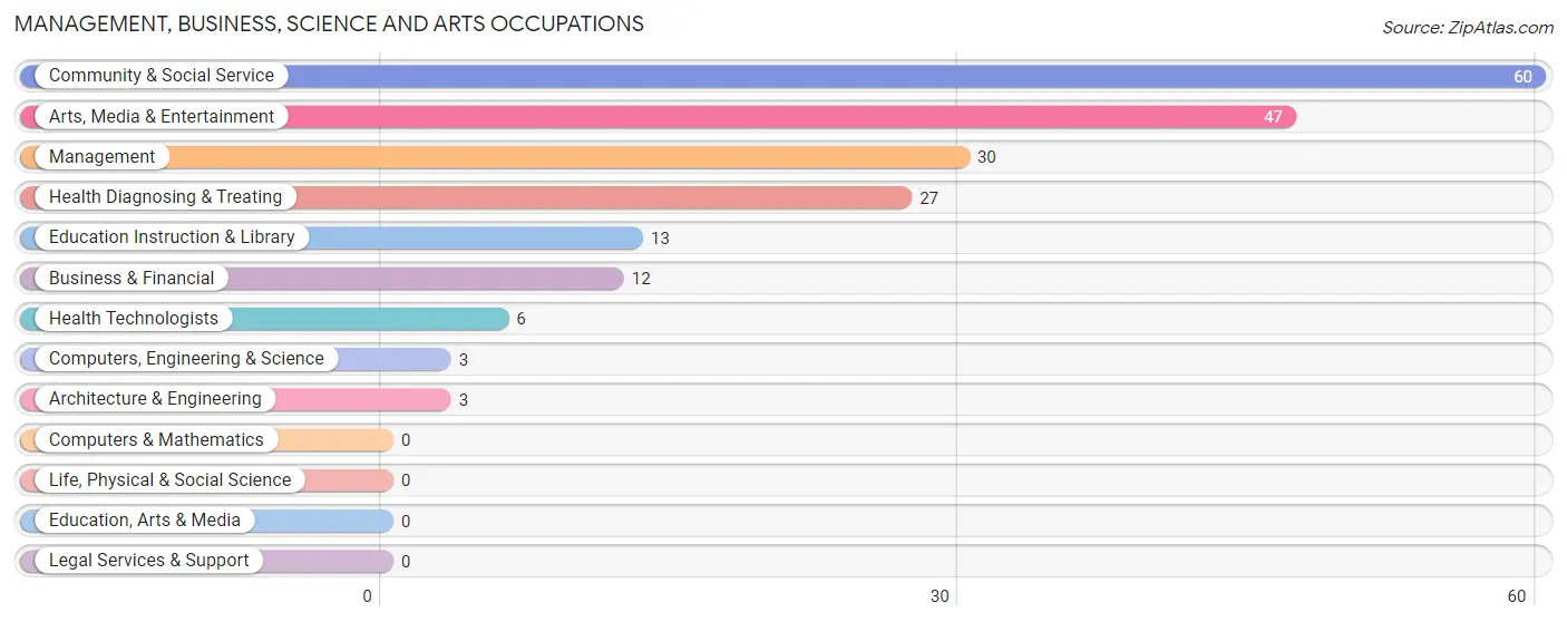 Management, Business, Science and Arts Occupations in Zip Code 48807