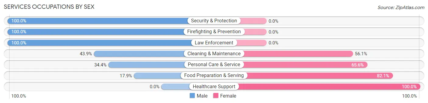 Services Occupations by Sex in Zip Code 48808