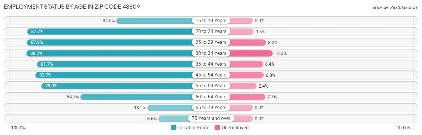 Employment Status by Age in Zip Code 48809