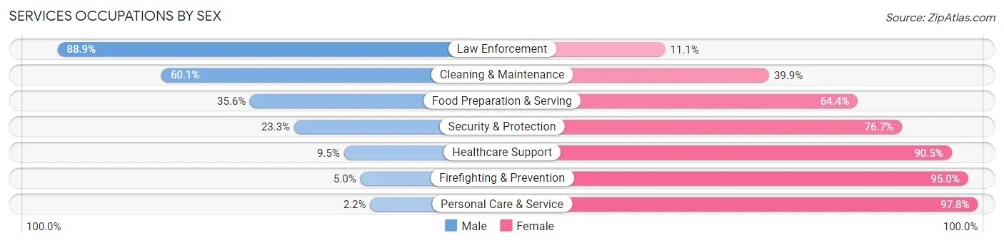 Services Occupations by Sex in Zip Code 48809