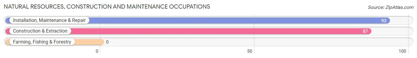 Natural Resources, Construction and Maintenance Occupations in Zip Code 48817