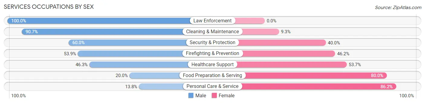 Services Occupations by Sex in Zip Code 48819