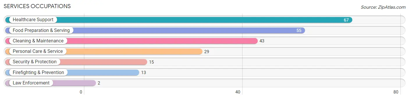 Services Occupations in Zip Code 48819