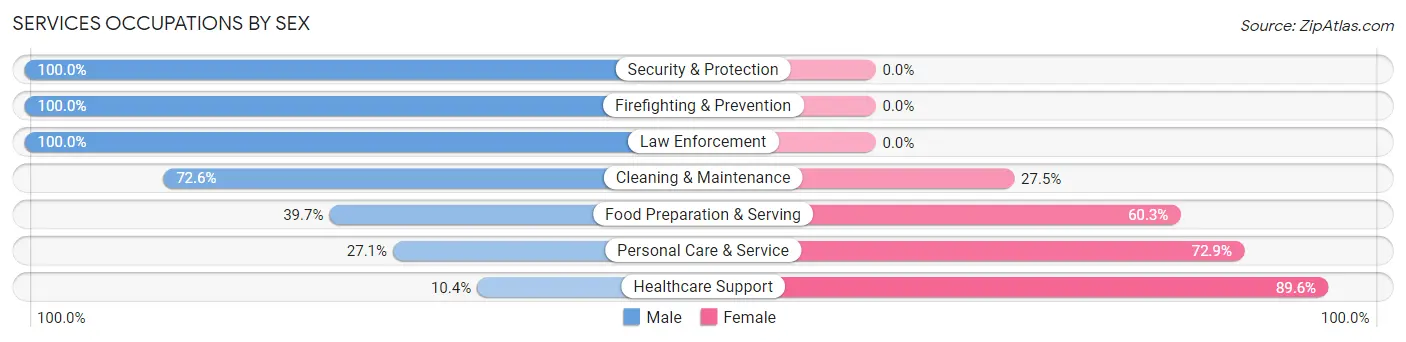Services Occupations by Sex in Zip Code 48831