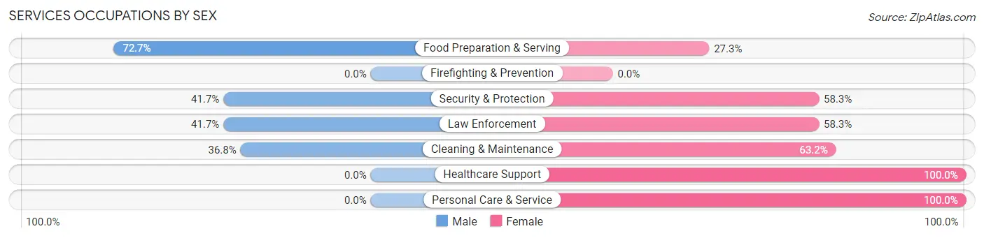 Services Occupations by Sex in Zip Code 48832