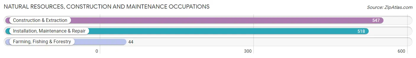 Natural Resources, Construction and Maintenance Occupations in Zip Code 48836