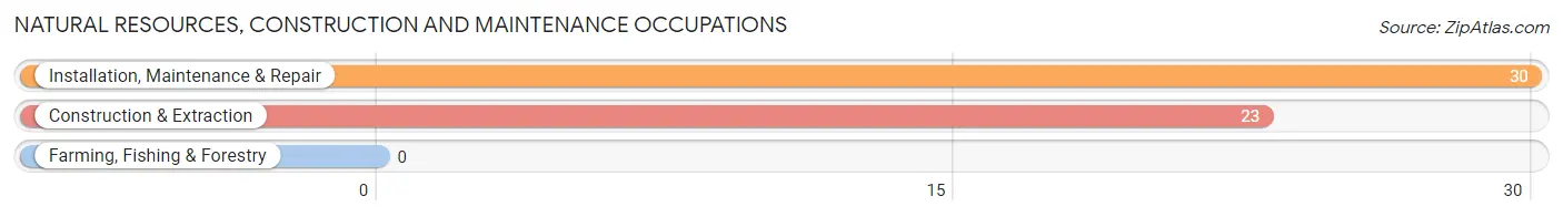 Natural Resources, Construction and Maintenance Occupations in Zip Code 48841