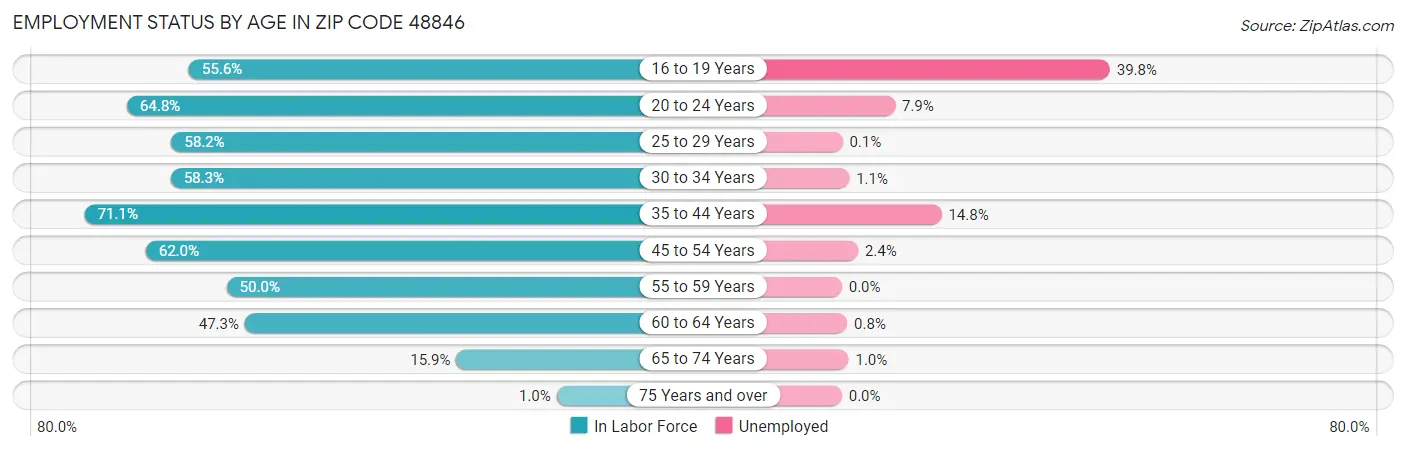 Employment Status by Age in Zip Code 48846