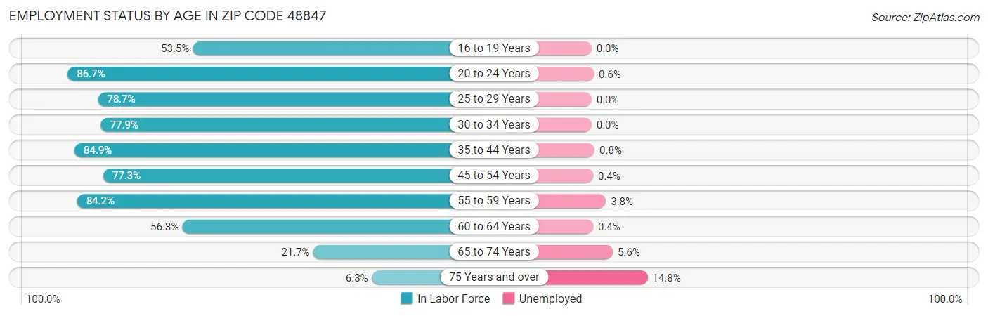 Employment Status by Age in Zip Code 48847