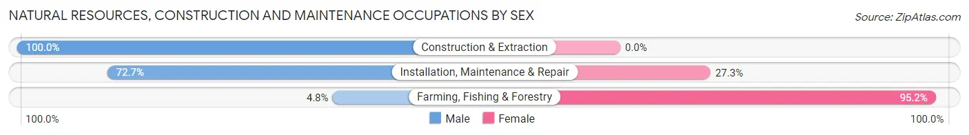 Natural Resources, Construction and Maintenance Occupations by Sex in Zip Code 48851