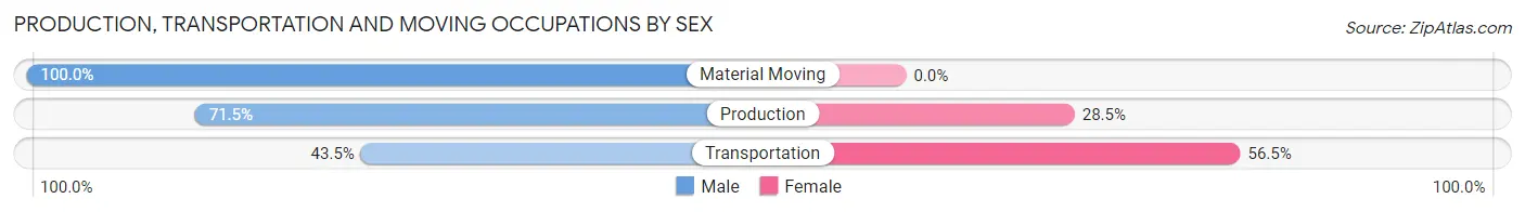 Production, Transportation and Moving Occupations by Sex in Zip Code 48851