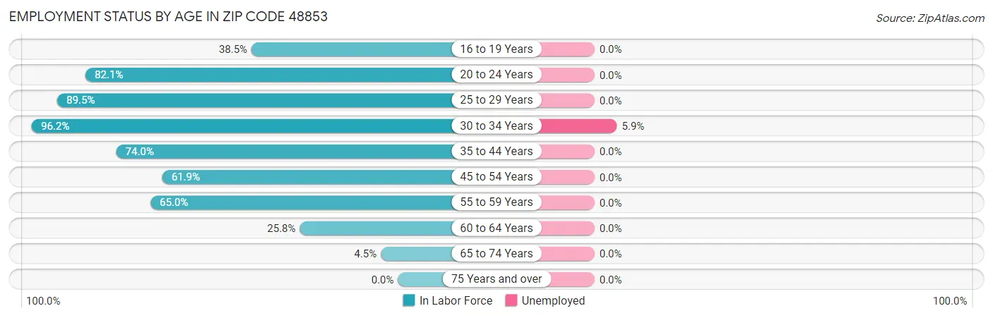 Employment Status by Age in Zip Code 48853