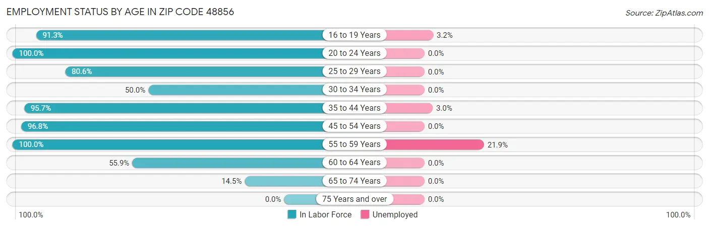Employment Status by Age in Zip Code 48856