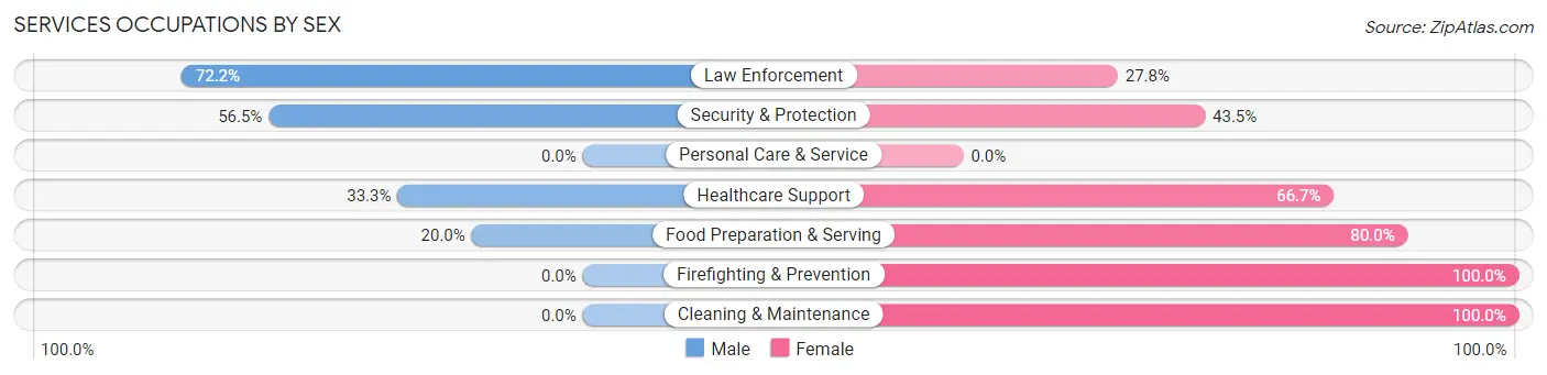 Services Occupations by Sex in Zip Code 48856