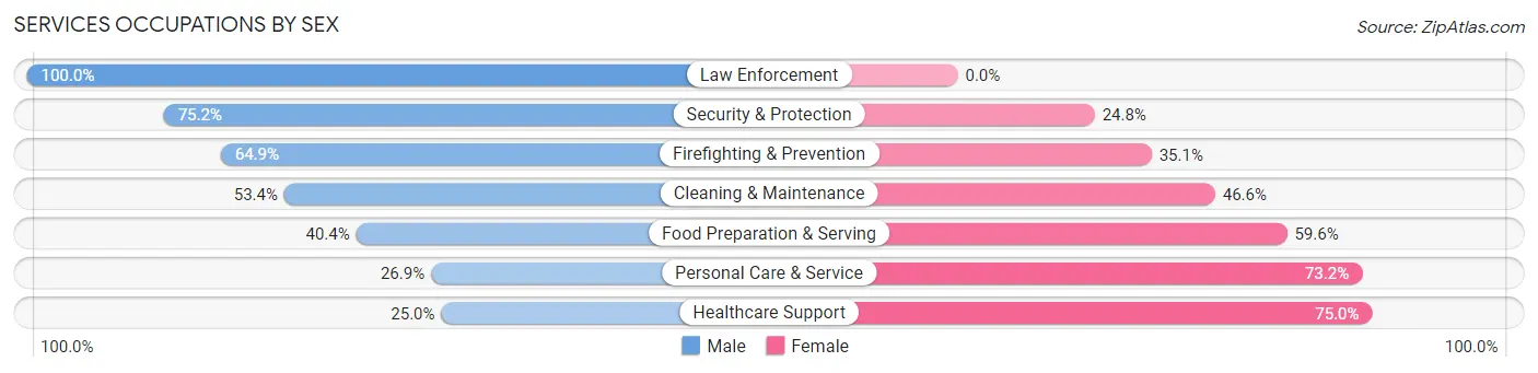 Services Occupations by Sex in Zip Code 48858