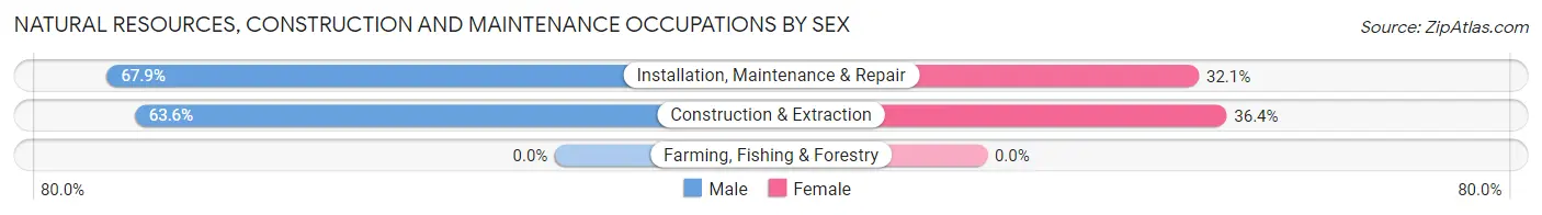 Natural Resources, Construction and Maintenance Occupations by Sex in Zip Code 48859