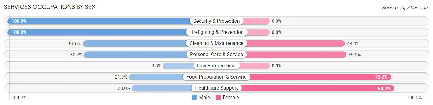 Services Occupations by Sex in Zip Code 48859