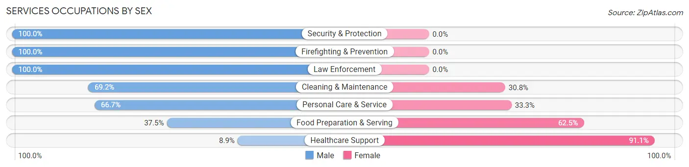 Services Occupations by Sex in Zip Code 48861