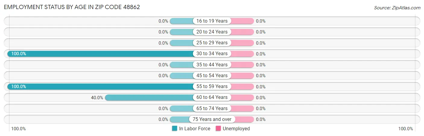 Employment Status by Age in Zip Code 48862