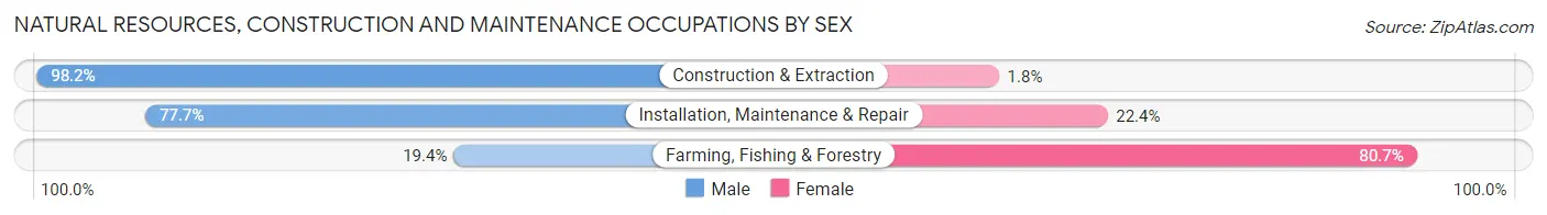 Natural Resources, Construction and Maintenance Occupations by Sex in Zip Code 48864