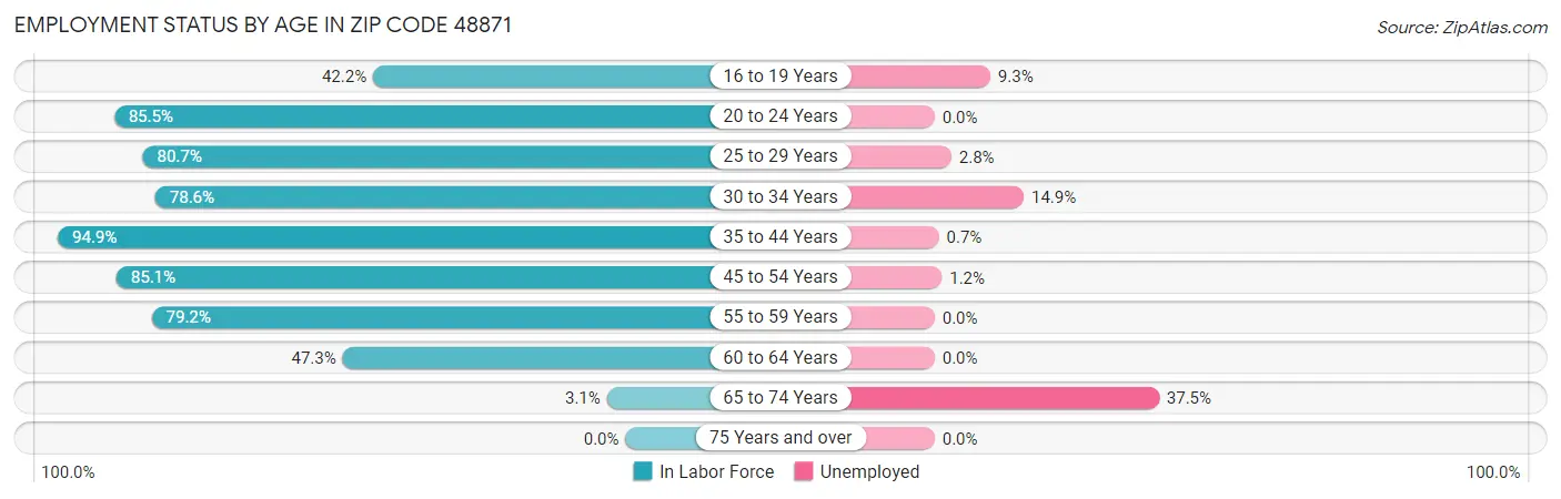 Employment Status by Age in Zip Code 48871